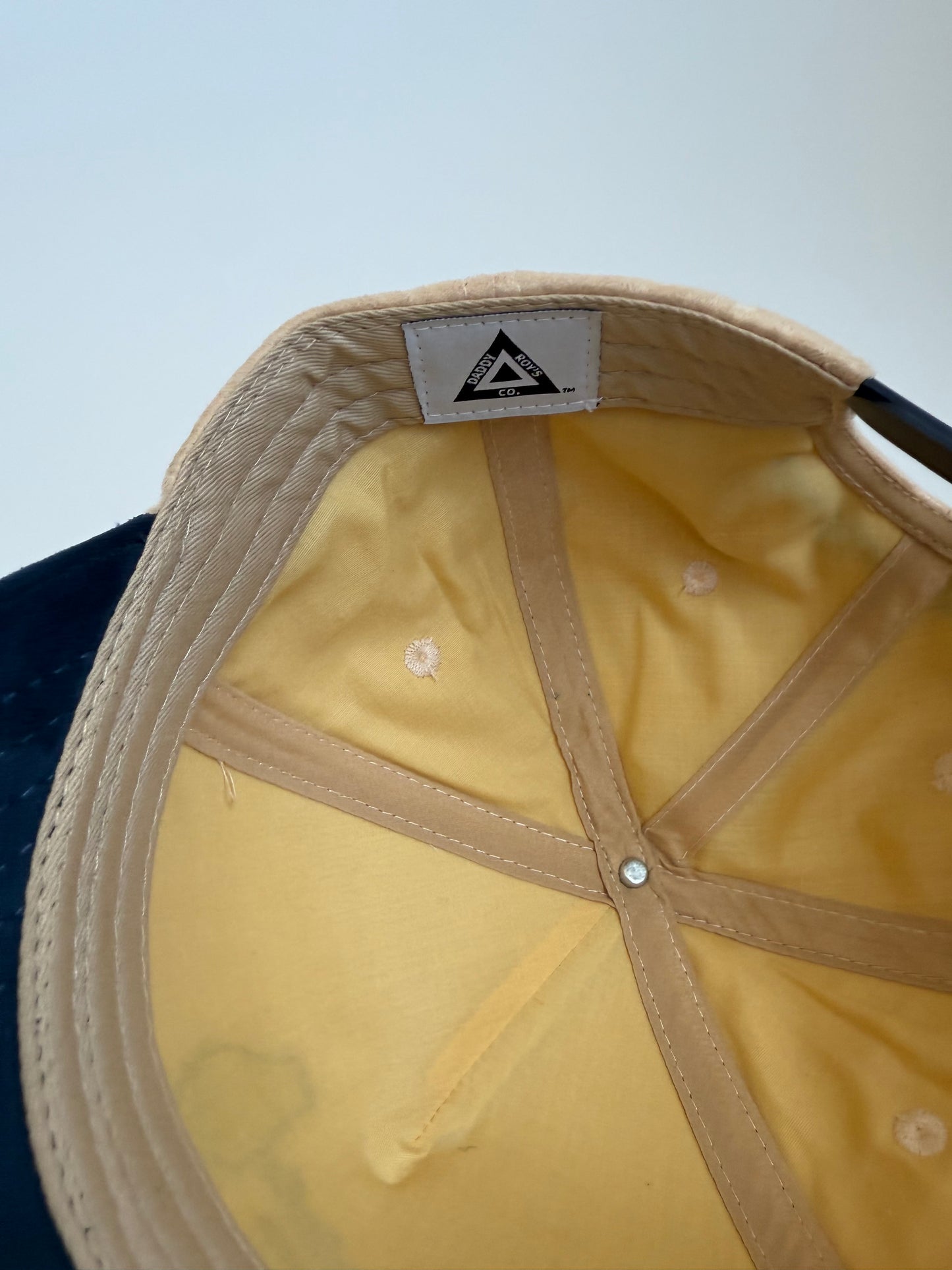 SILVER LAKE BEIGE/BLUE SUEDE SNAPBACK HAT