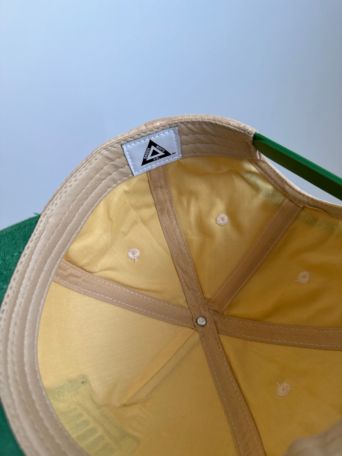 INGLEWOOD BEIGE/GREEN SUEDE SNAPBACK HAT