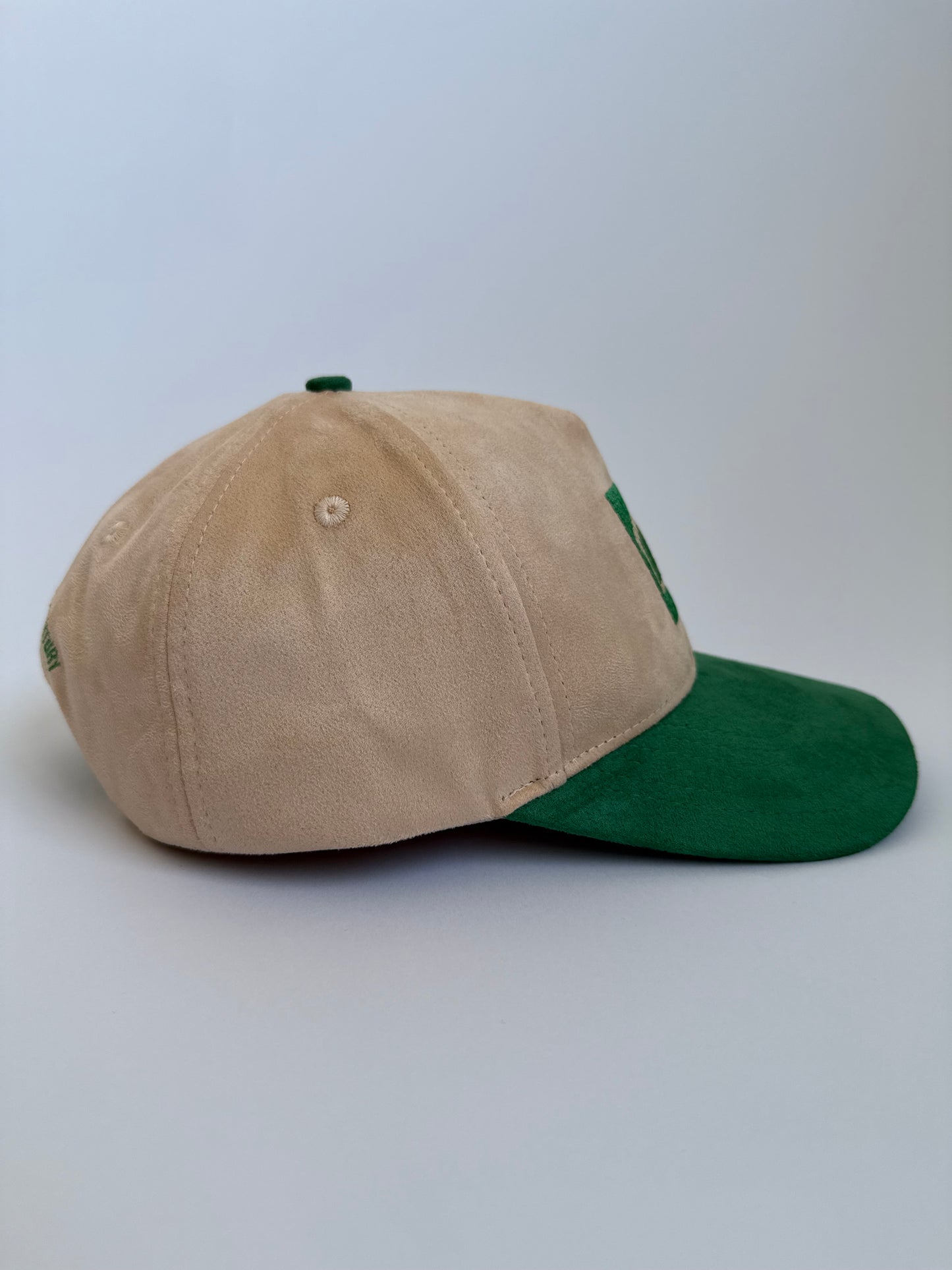 INGLEWOOD BEIGE/GREEN SUEDE SNAPBACK HAT